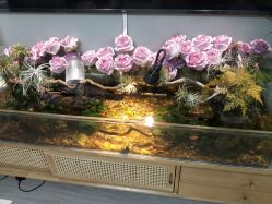 -Lumi露米·美甲美睫品质店