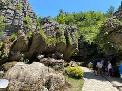 -梭布垭石林景区