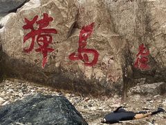 -养马岛旅游度假区