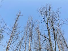 -洋湖国家湿地公园