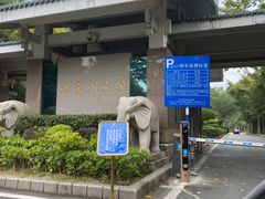 -鲤鱼洲酒店港鲤咖啡厅