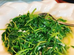 清炒当季时蔬-望乡楼上海菜(日月光店)