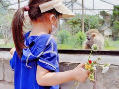 -石家庄市动物园