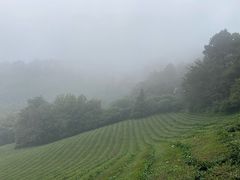 -敬亭山风景名胜区