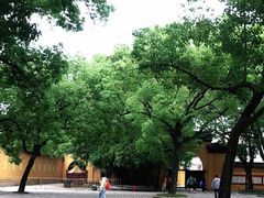 -西园戒幢律寺