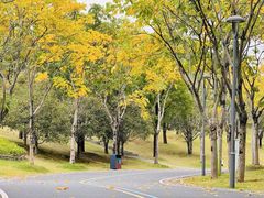 -牛岗山公园