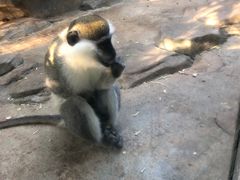 -泉州海丝野生动物世界