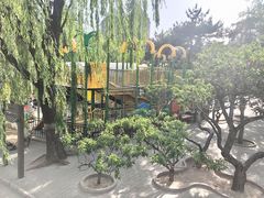 -团结湖公园