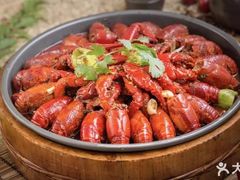 金牌龙虾-0574龙虾的故事(东裕店)