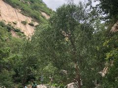 -碓臼峪自然风景区