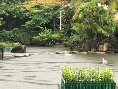 -呀诺达热带雨林
