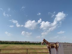 -汉长安城未央宫国家考古遗址公园