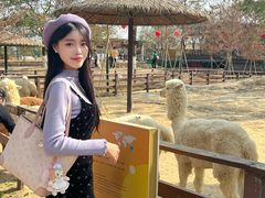 -盈香心动乐园