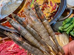 -阳阳老火锅(小南门店)