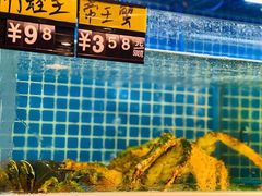 -金龙·打边炉(武进路店)
