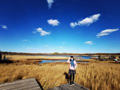 -塞罕坝国家级自然保护区