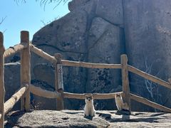 -崂山巨峰游览区