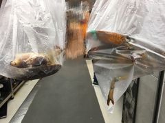 -盒马鲜生(宝地店)