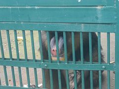 -秦皇岛野生动物园