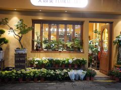 -溪岸路花鸟市场