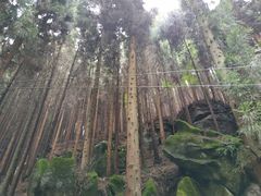 -山王坪喀斯特国家生态公园