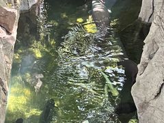 -青青世界