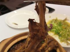 鸭掌粉丝煲-阿诺泰·泰国餐厅(棕北店)