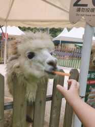 -萌宠亲子动物乐园(槐房万达店)