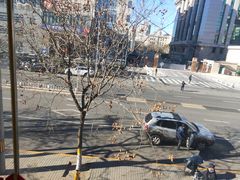 -芦月轩羊蝎子(北蜂窝店)