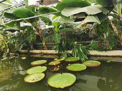 -国家植物园南园