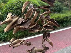 -南国桃园旅游度假区