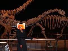 -世界恐龙谷景区