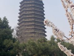 -玲珑塔公园