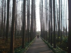 怡沁西路-上海怡沁园度假酒店