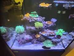 -Rabbit Cafe私房西餐甜点咖啡(栖霞路店)