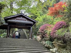 -五泄景区