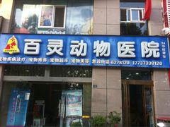 -百灵动物医院