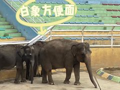 -大连森林动物园