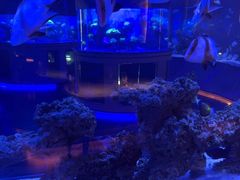 -上和臻品中国菜(花园街店)