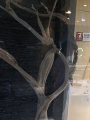 点击看大图 -木北造型