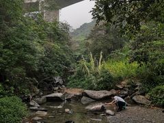 -梧桐山风景名胜区