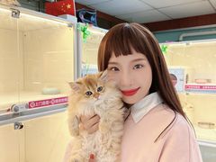 -lincat·猫舍(广州店)