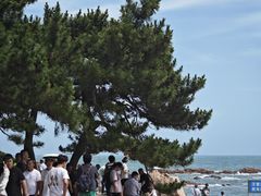 -青岛第二海水浴场