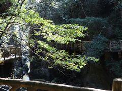 -永泰中国云顶