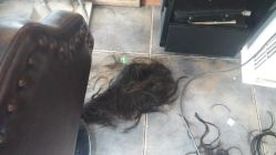 -小齐发型Star·Salon