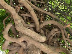 -西宁市东关清真大寺