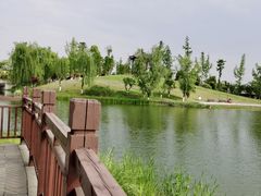 -眉山湿地公园(东坡区)