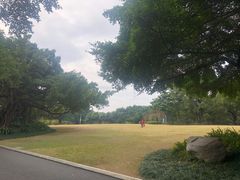 -南宁南湖公园