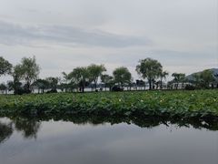 -无锡蠡湖国家湿地公园-蠡园