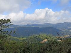 -大姆山草场